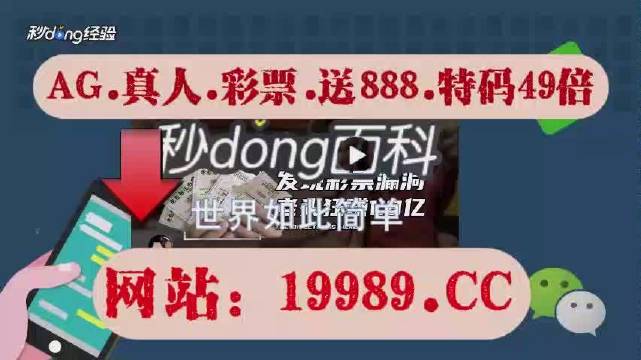 2024澳门天天开好彩大全开,科学数据解读分析_曝光版94.470