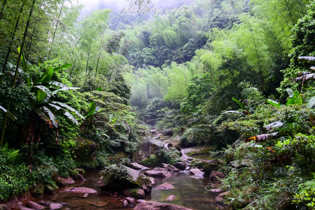 百里竹海旅游建设最新