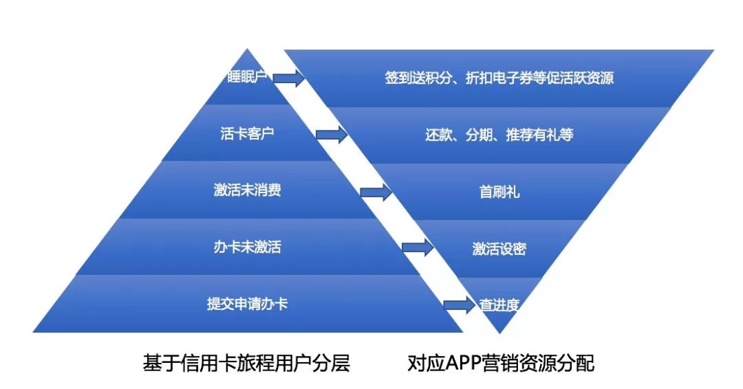 冬枣品种 第137页