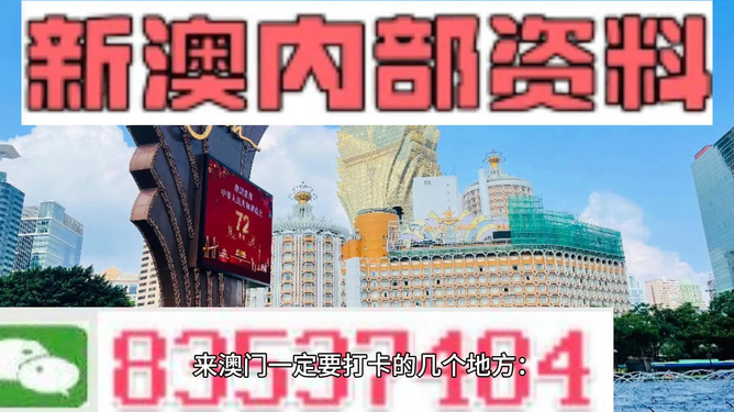 2024新澳历史开奖,科学解释分析_艺术版63.931