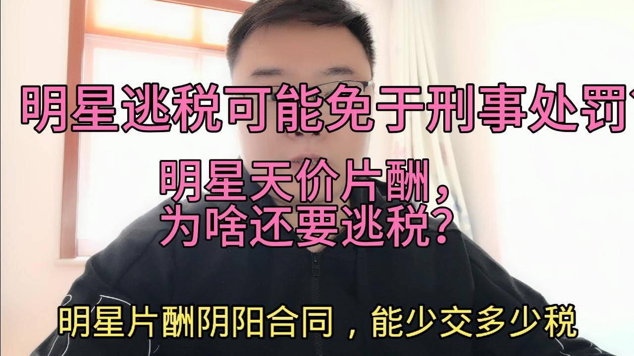 逃税明星背后的秘密，小巷特色小店与隐秘瑰宝的奇妙故事