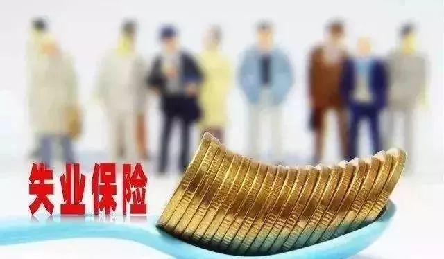 临金高速建德最新进展