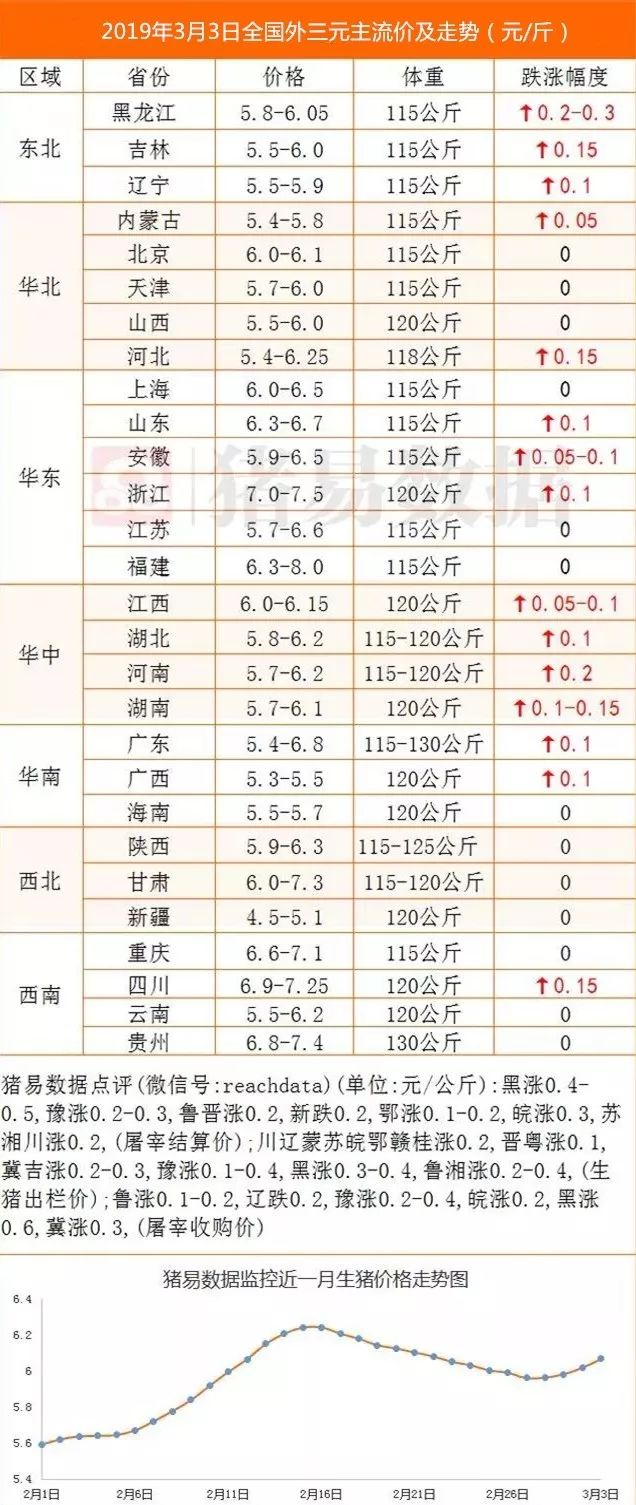 最新全国猪价涨跌表揭秘与小巷特色小店探秘之旅