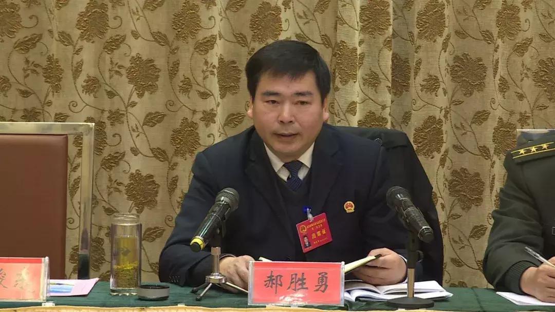 大金镇高铁最新消息